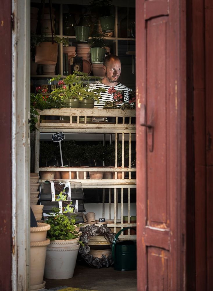 Interiören i trädgårdsbutiken är densamma som när lanthandeln byggdes, och ska så bevaras. Bakom disken står Andreas. Foto: Göran Thorén
