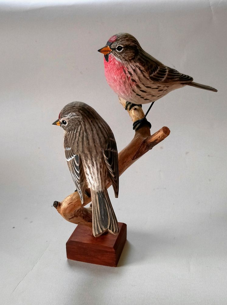 Ett par snidade gråsiskor på samma kvist, hanen med sitt rosenröda bröst som den har på våren.