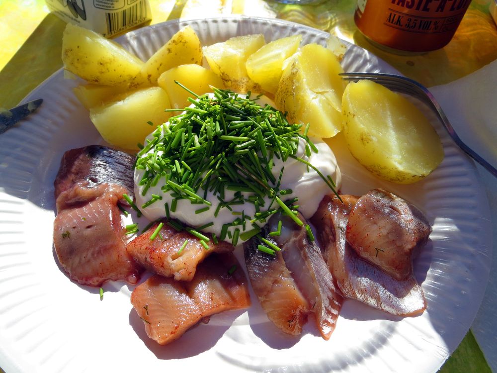 Sill, potatis och gräddfil på tallrik.