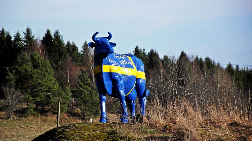 Hjälp Marie Åsåker att hitta sin staty!