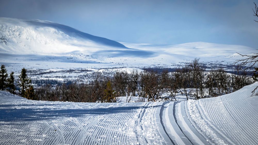 Bruksvallarna är känt för sin fina längdskidåkning. Här tränar landslagsåkare, ofta tidigt på säsongen, men det finns gott om plats även för motionärer.