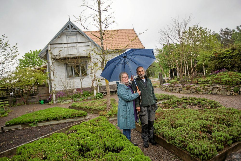 Lena Arnesdotter och Amir Najafi odlar mängder av örter, perenner, träd och buskar.