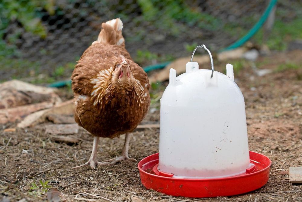 Friskt vatten utan smuts. Dessutom räcker vattnet länge när hela automaten fyllts på.