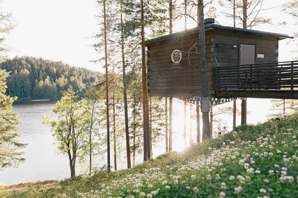 Granö Beckasins fågelnästen perfekt för att övernatta. Du vaknar upp mitt i naturen med en utsikt över Umeälven.