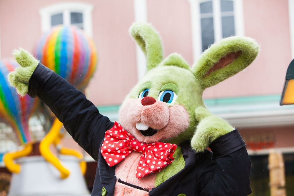 Kaninen Kanne sägs vara den gladaste av alla Lisebergskaniner. Foto: Stefan Karlberg/Liseberg