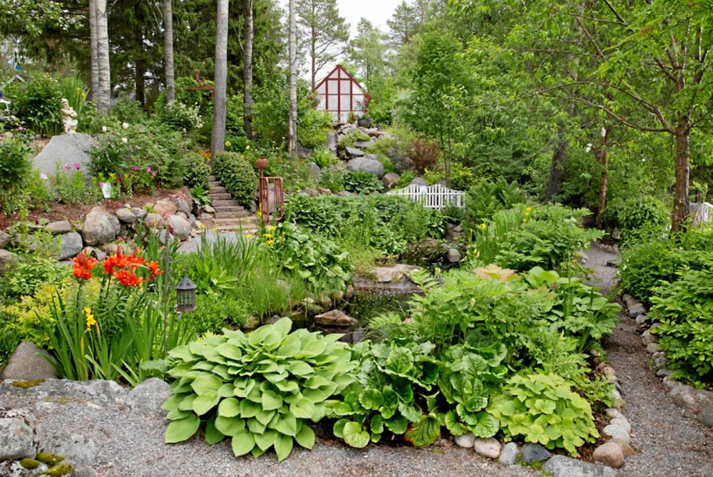 Trädgård med damm, växthus och rabatter.