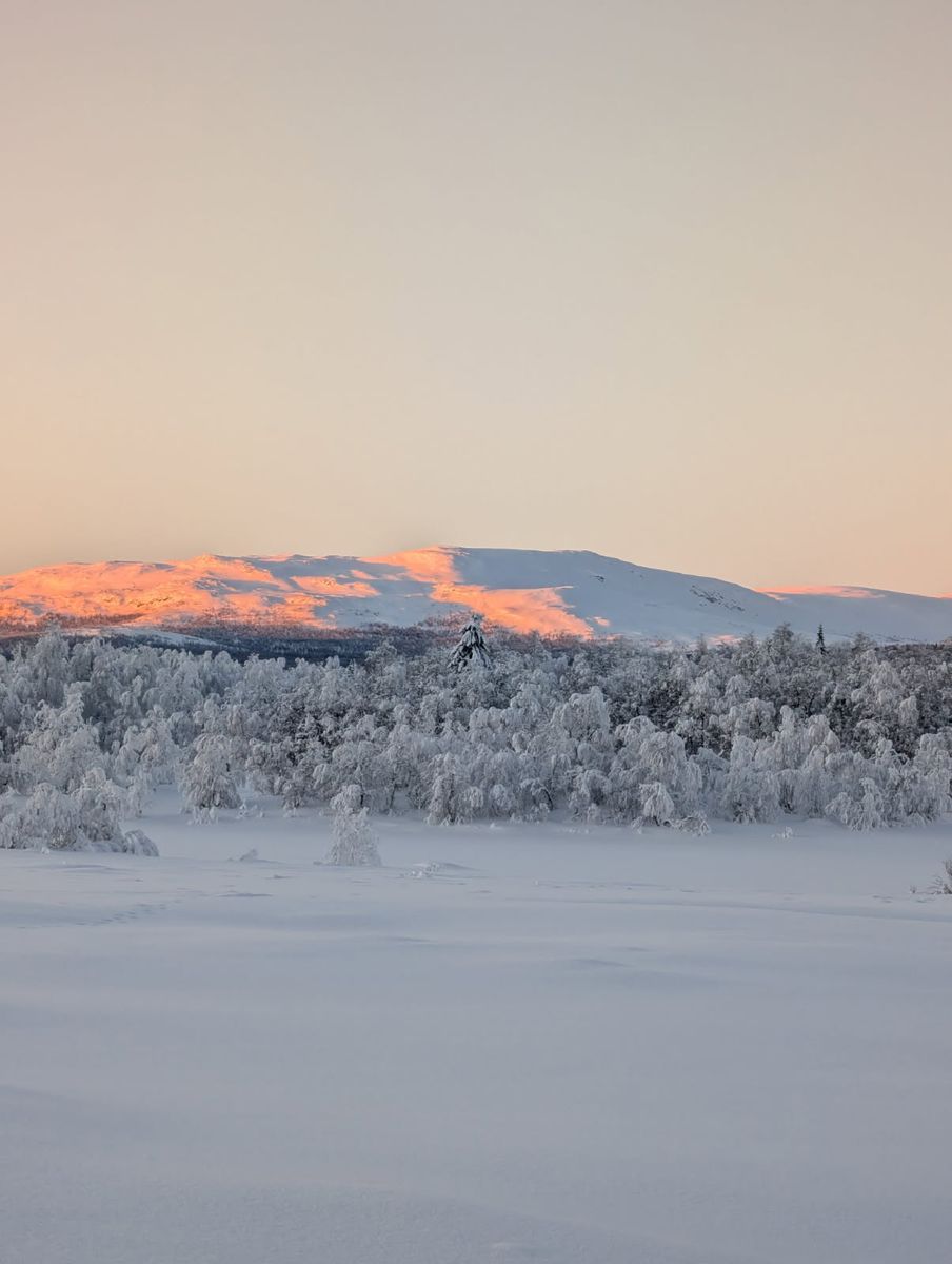 Snötäckt fjällutsikt i gryningsljus med rosa solglöd över horisonten