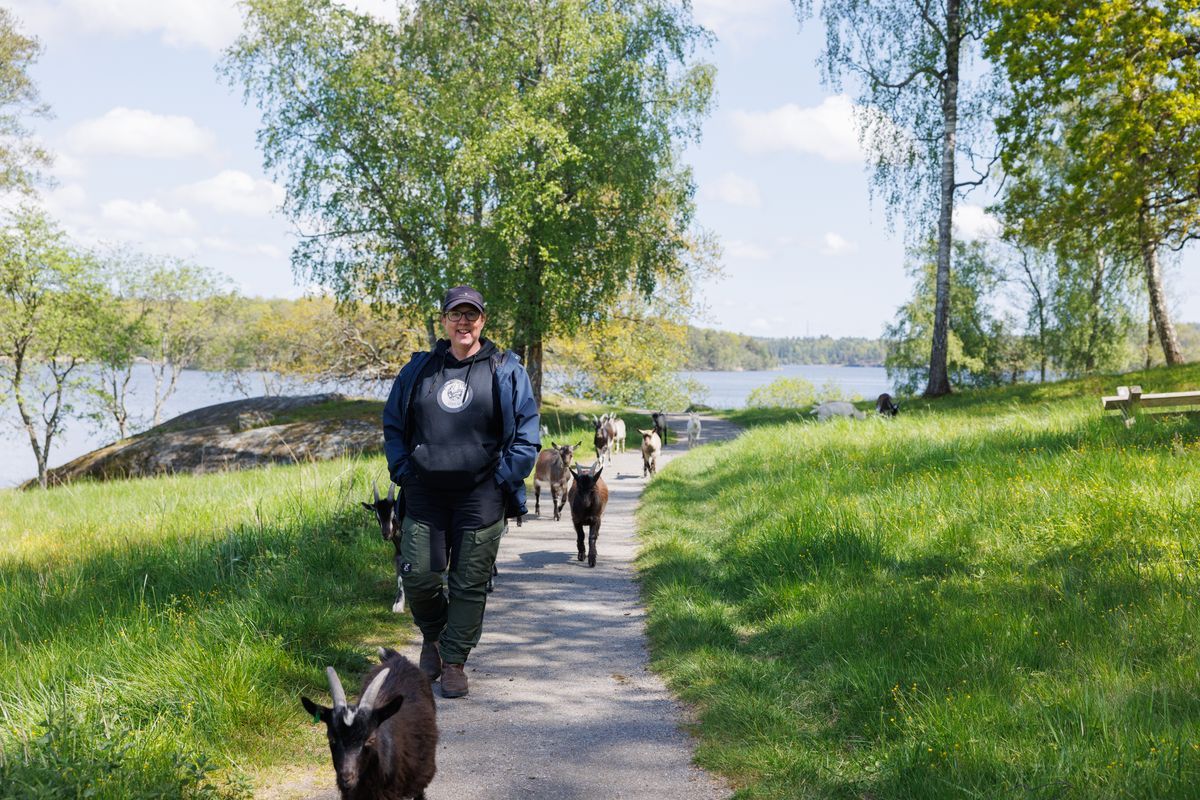 Kvinna går på skogsstig vid sjö, omgiven av getter i vårgrön natur
