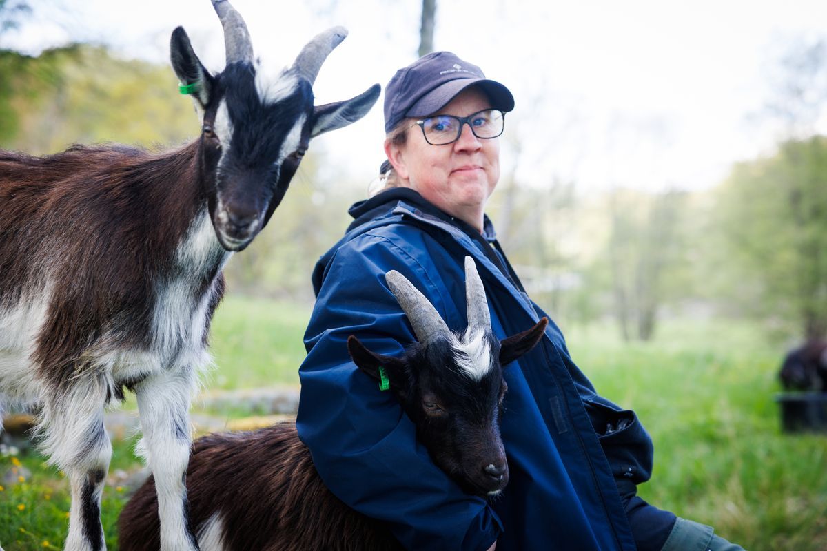 Anna Sundberg i blå jacka sitter i gräs med två getter som lutar sig mot henne.