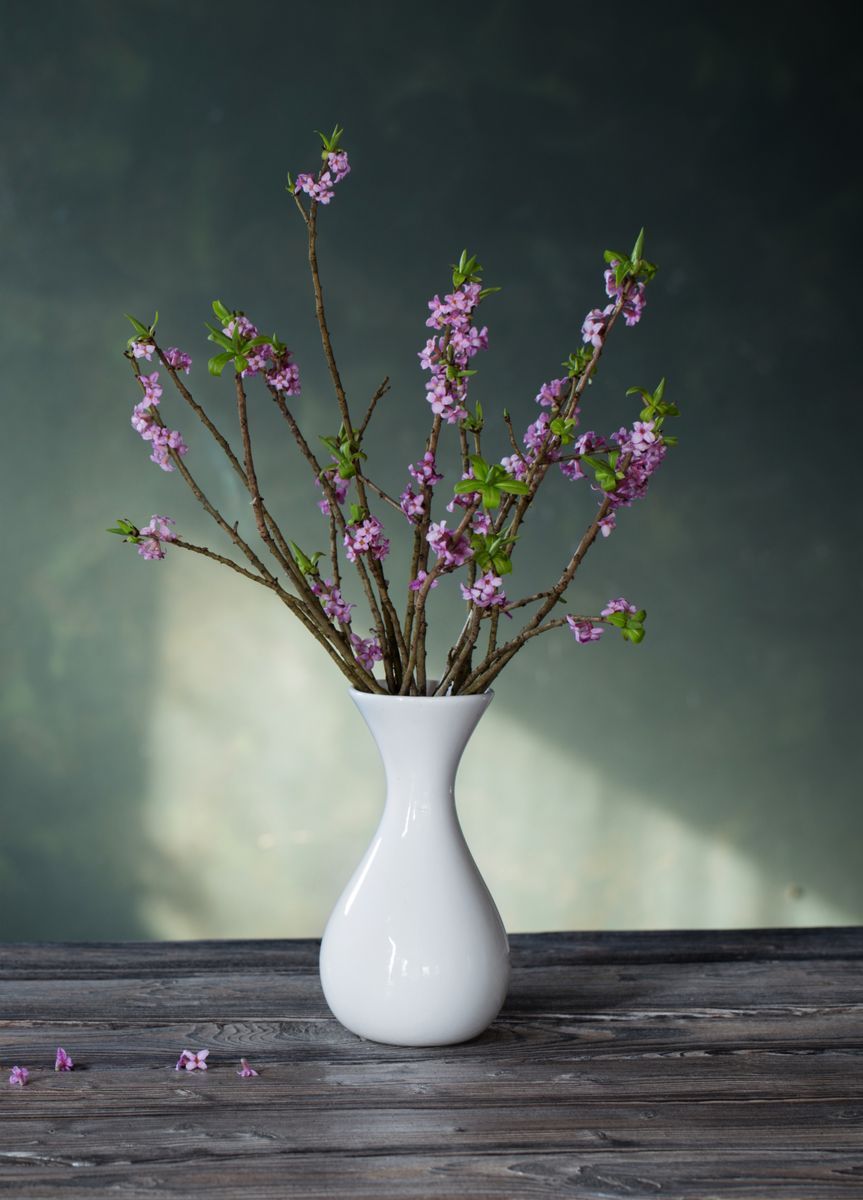 Vit vas med rosa blommande kvistar på ett rustikt träbord mot mörk bakgrund