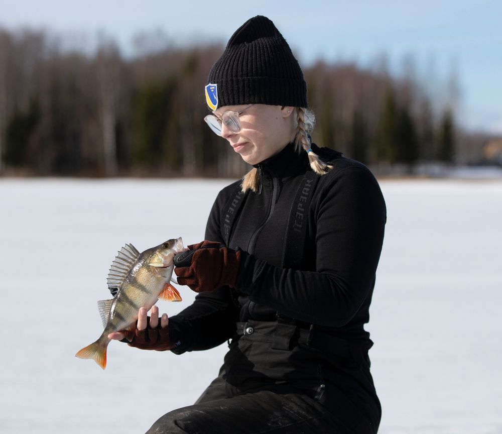 Josefin Andersson på isen håller upp en nyfångad abborre i vinterlandskap
