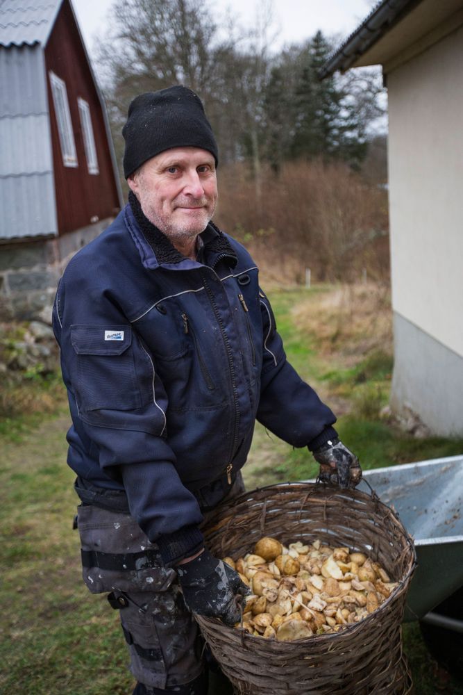 Ola Lindholm bär en korg med potatis utomhus vid ett hus.