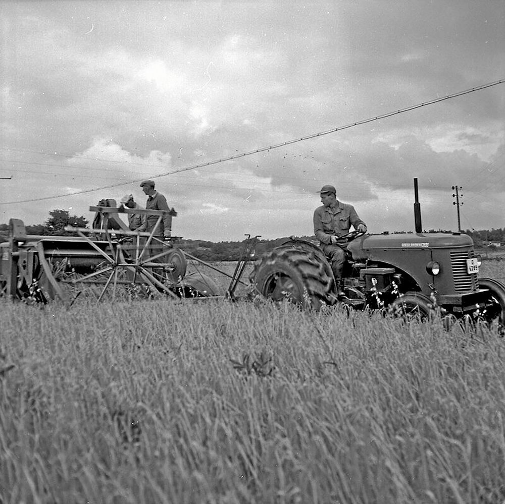 En man kör traktor som drar skördetröska efter sig. Två andra män står intill och ser på.
