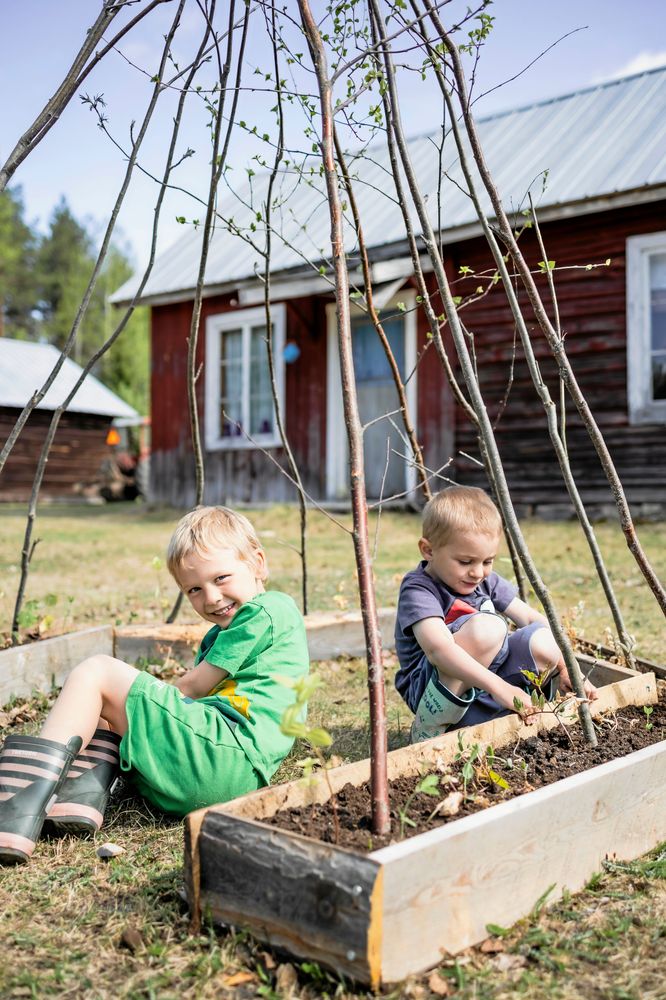  5-årige Alfred och 3-årige Elias vid odlingslådorna där de första fröna har börjat gro och spira.