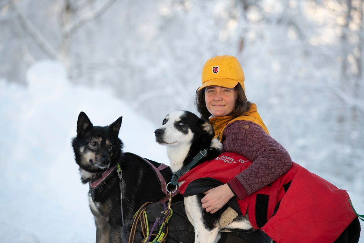 Kvinna i gul keps kramar två slädhundar i snötäckt vinterlandskap