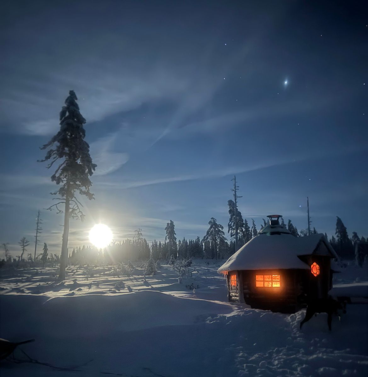 Snötäckt skogsnatt med månsken och en liten timrad stuga med varmt ljus.