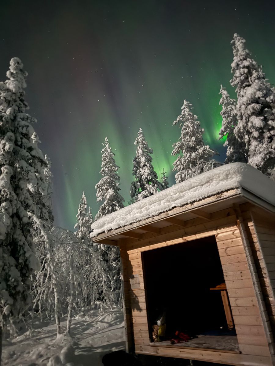 Trästuga i snörik vintergran­skog badar i norrskenets gröna sken