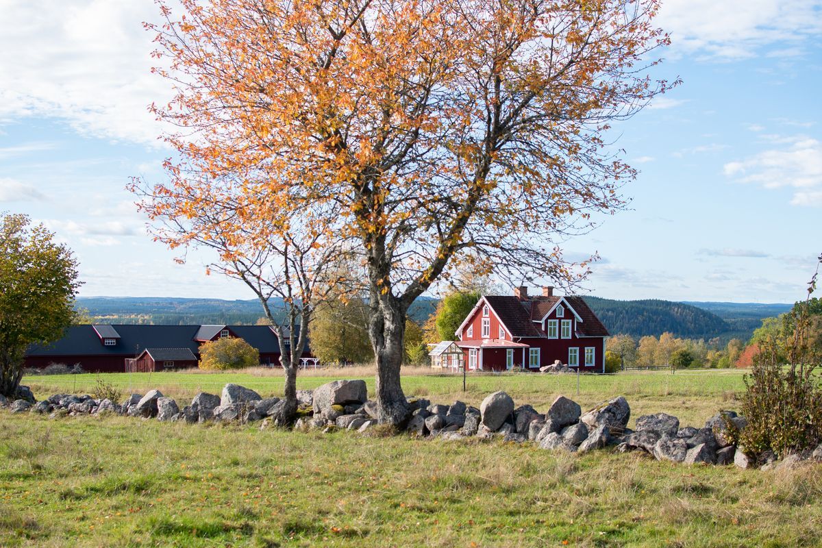 Rött hus på landet med en stenmur och träd i höstfärger.