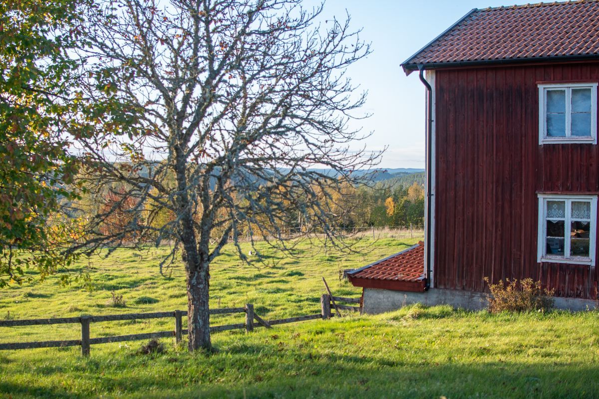 Rött hus vid en grönskande äng med träd på hösten.