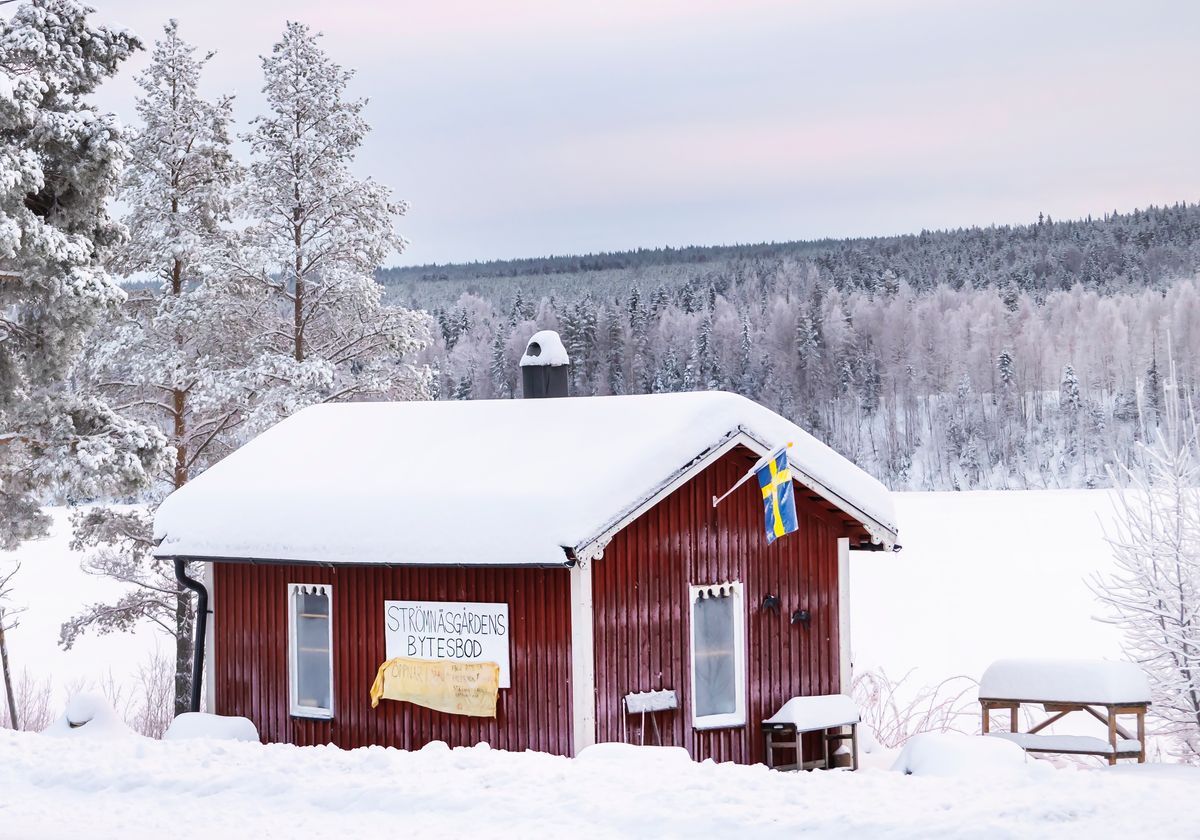Röd stuga med svensk flagga i snötäckt vinterlandskap vid skog och sjö