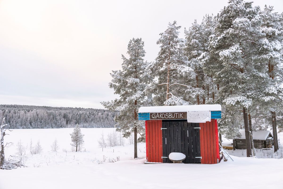 Röd gårdsbutik i snötäckt vinterlandskap med skog och fält i bakgrunden