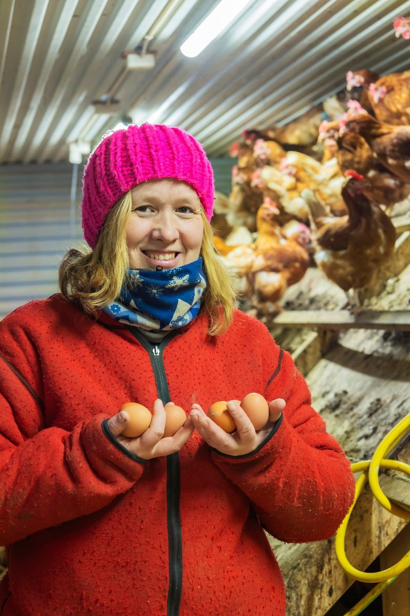 Åsa i hönshus håller ägg i händerna, höns sitter på sittpinnar bakom