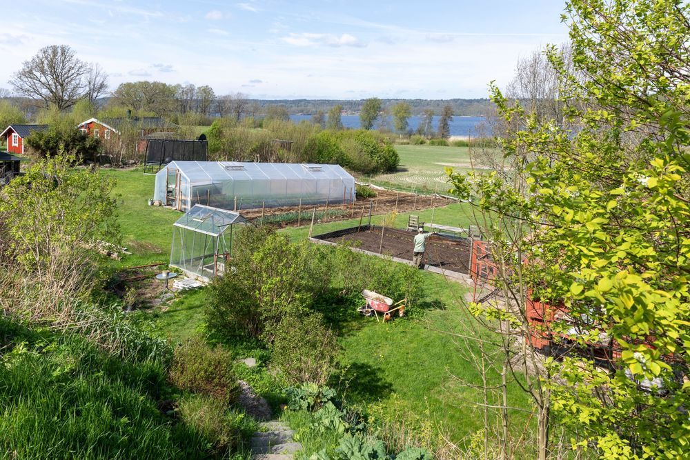 Lantlig trädgård med växthus, odlingsbäddar och sjö i bakgrunden