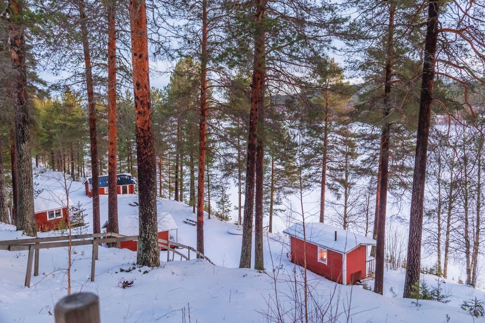 Röda stugor i vinterskog vid en snötäckt älv.