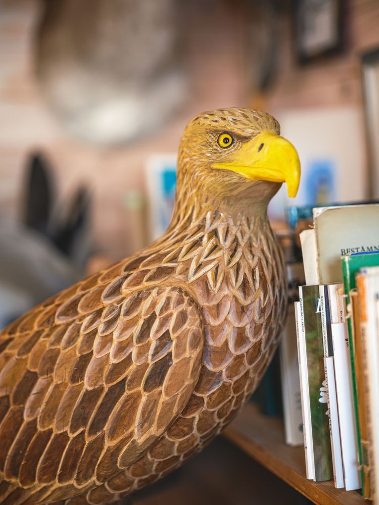 Havsörn snidad i naturlig storlek med skarp blick.