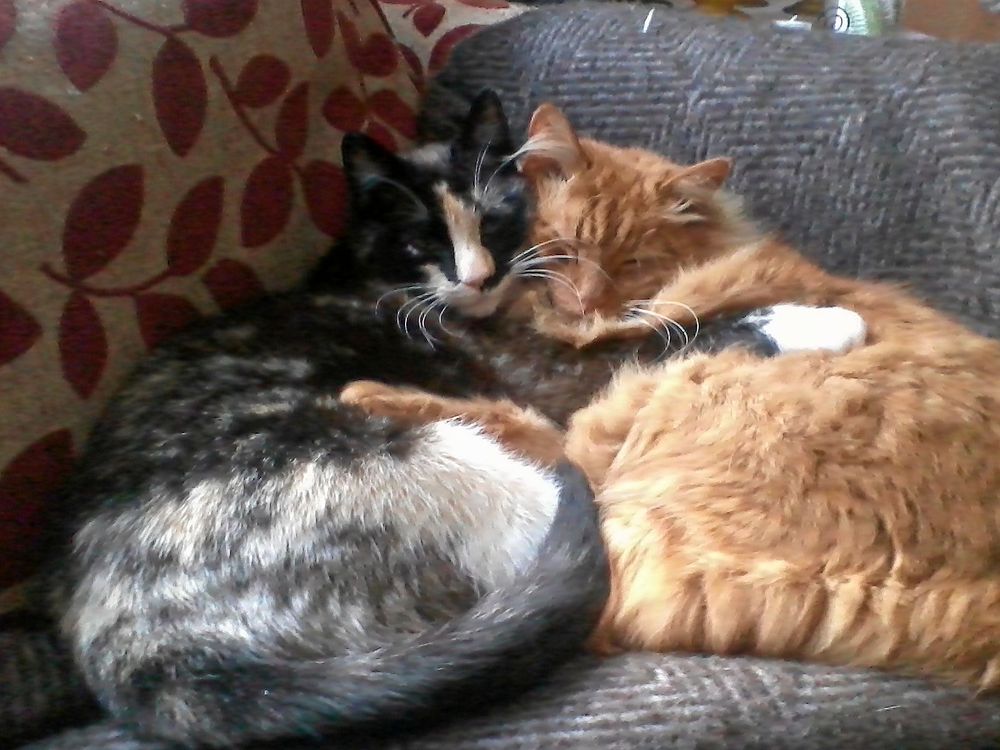 Vinnare 7: Christine Johansson, Karlshamn