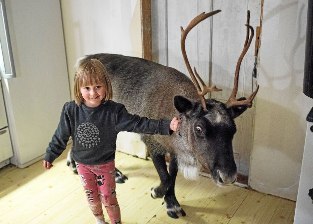 Vaggi tycks ha ett särskilt band till 3-åriga Eila, de har vuxit upp tillsammans.