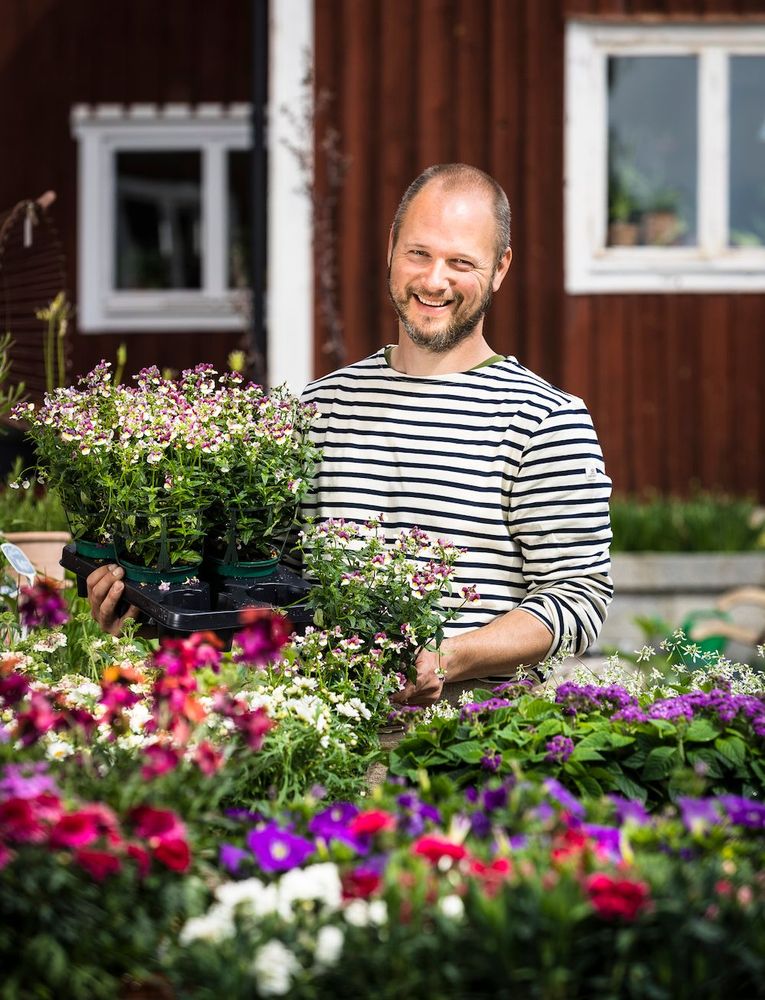 Andreas Graveleij med mängder av sommarblommor utanför Kniva trädgårdsbutik. Foto: Göran Thorén