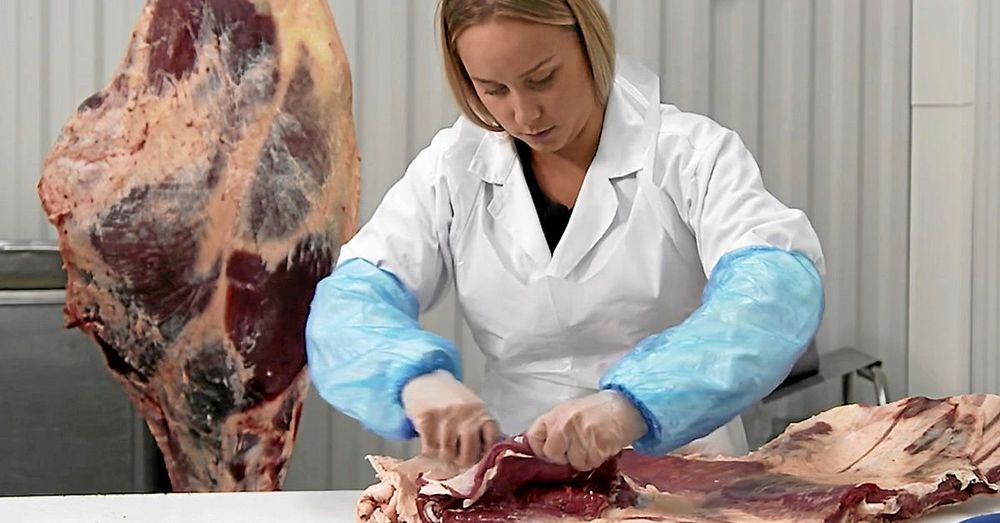 Emilia som är uppvuxen på en gård med slakt och styckning är van att ta vara på hela djur.