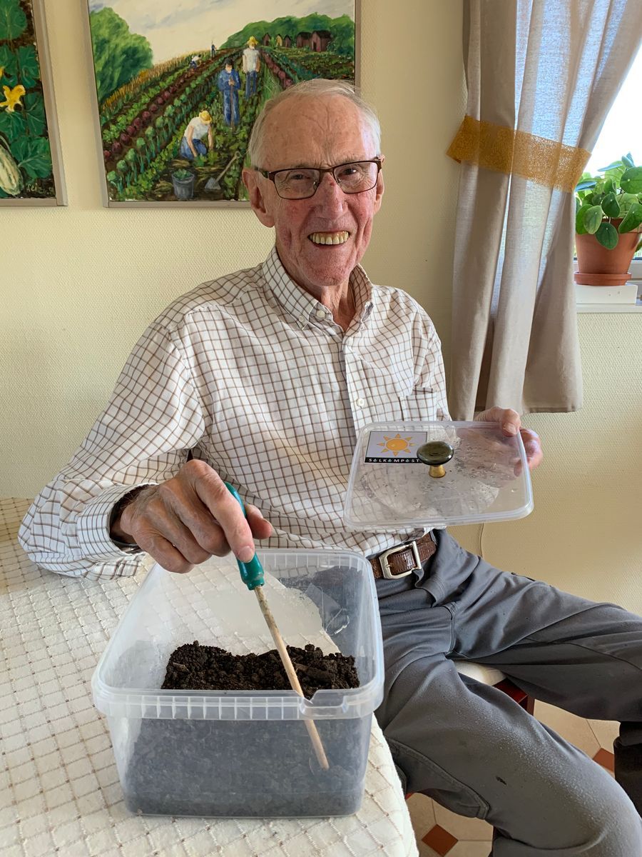 Bengt Flärdh sitter vid bord och planterar i plastlåda med jord inomhus