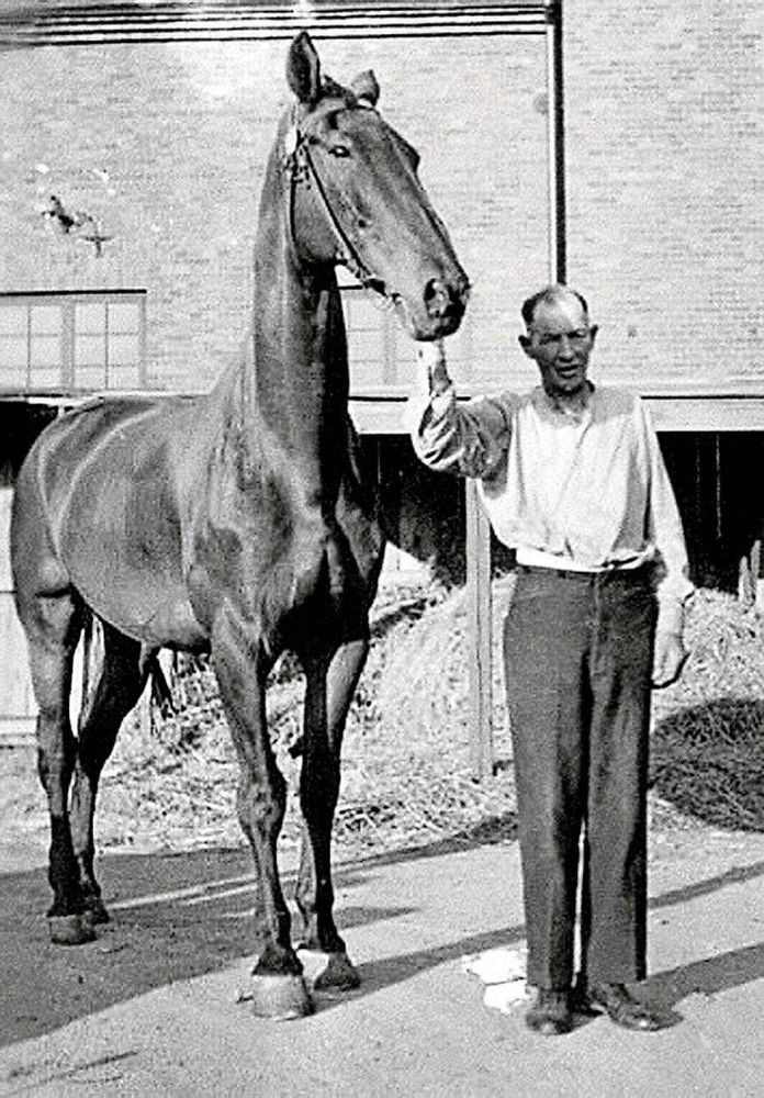 Hästkarl. Under sina sista år i livet arbetade Axel Karlsson på ett åkeri, där han hade hand om hästarna.