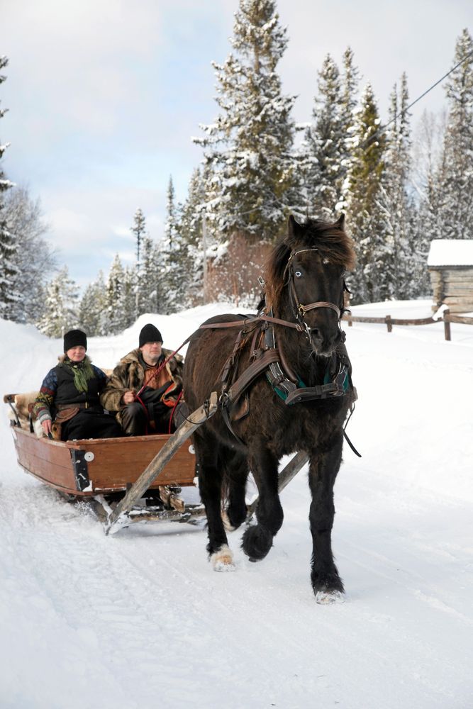 Pecka och Marika njuter av en slädtur i vinterlandskapet nära Sonfjället.