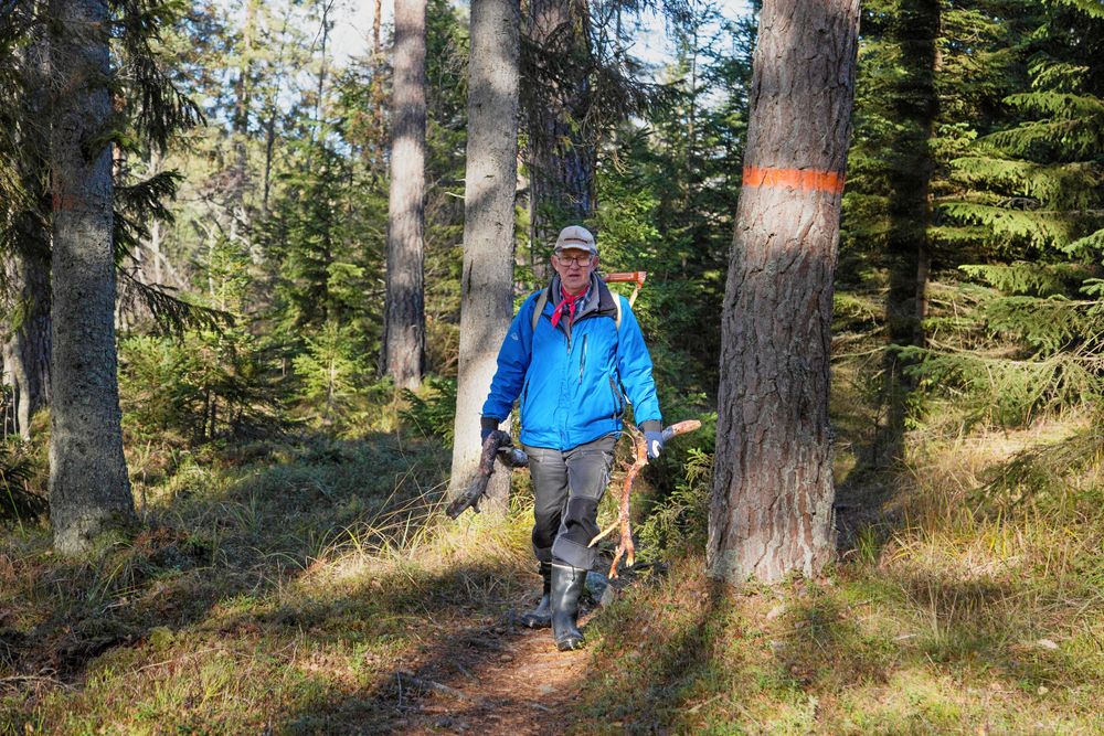 Peter Swärd kommer ursprungligen från Dalarna och jobbade i skogen redan som barn.