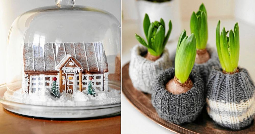 Två av Sofias julpyssel: Pepparkakshuset som är en miniatyr av orangeriet och muffarna till hyacinterna.