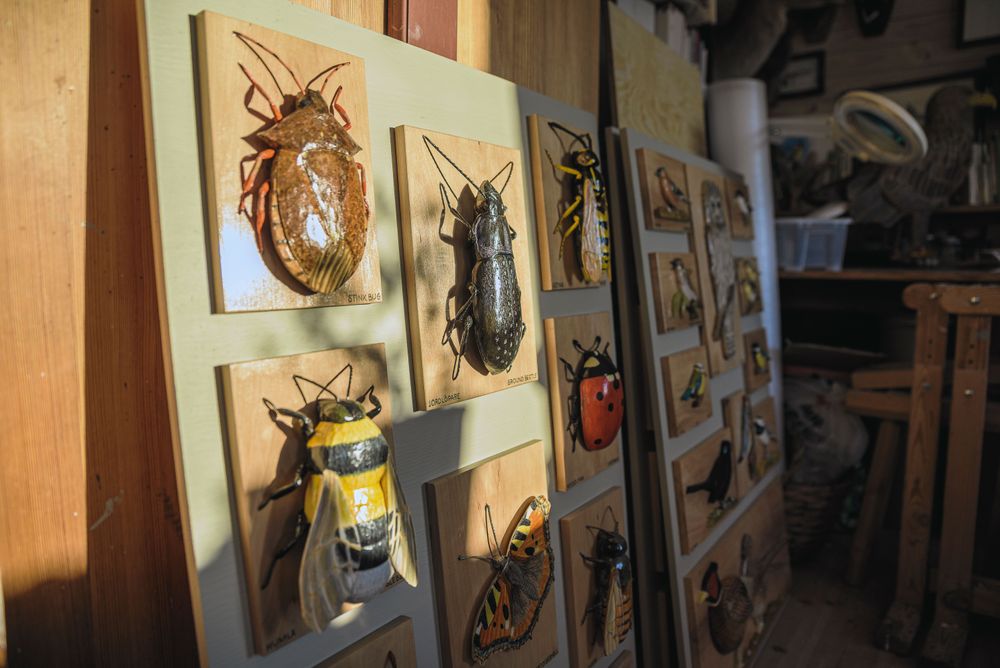 Tavlor med rejäla, klappvänliga insekter i trä som uppskattas av barn.