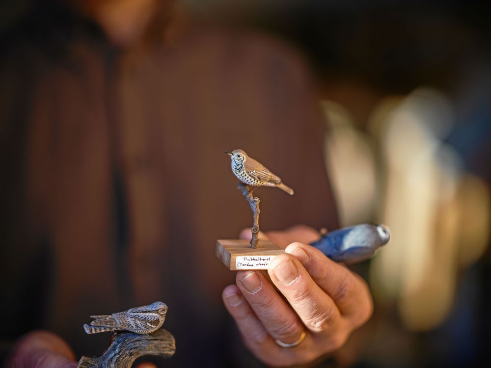 Perfekt avbildade och snidade miniatyrer, längst ned en nattskärra och överst en dubbeltrast.