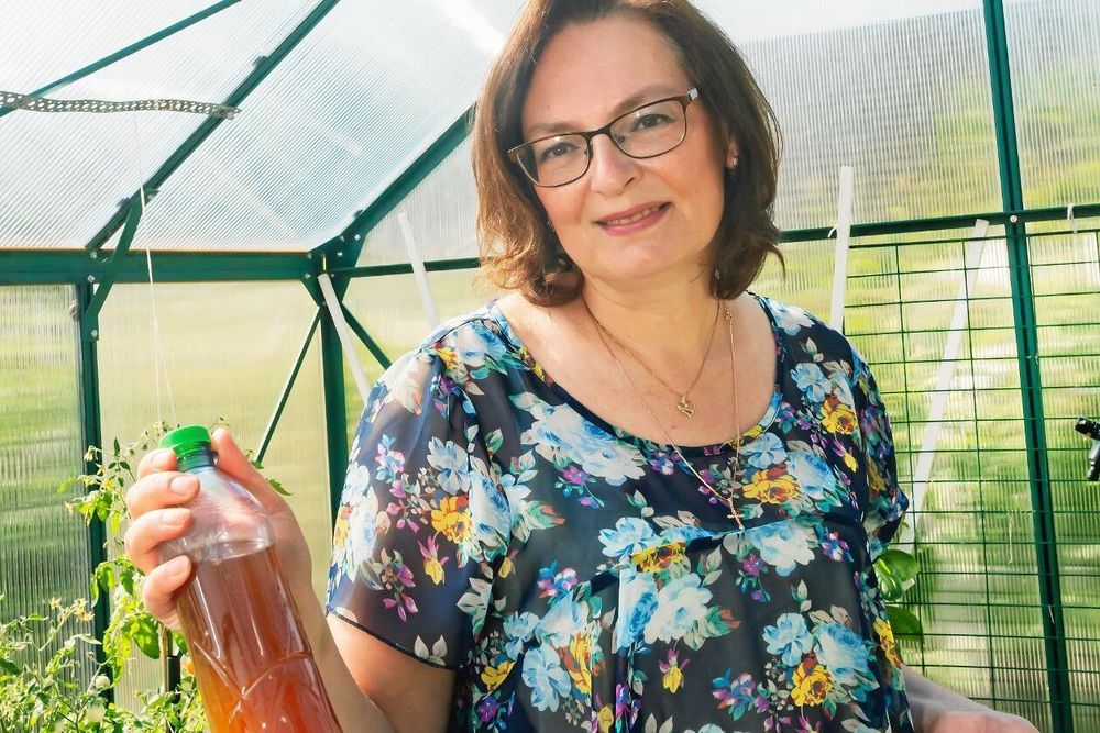 Även gödsel görs på hemmaplan. Lakvattnet från bokashikomposten blandas med vatten.