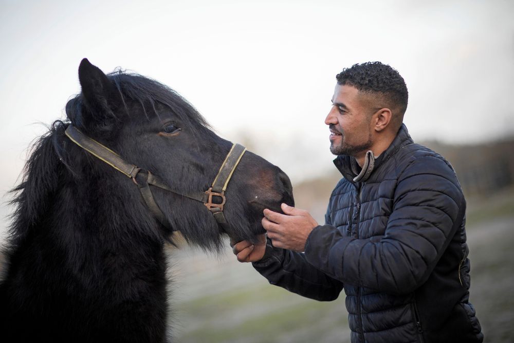 Trots noll erfarenhet av hästar innan visade sig Ahmad kunna kommunicera med dem.