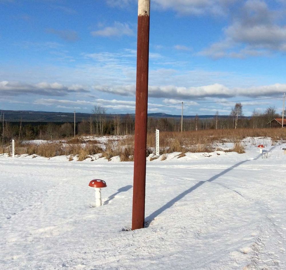 Här är en av telefonstolparna som Leif har målat röda. Foto: Privat.