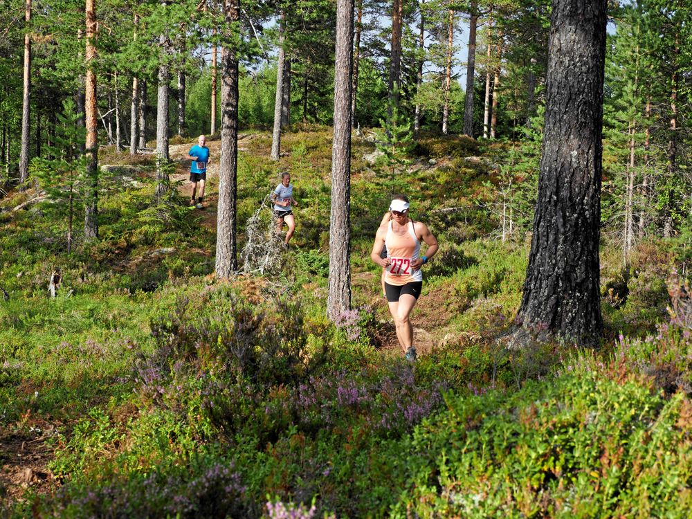 Springlopp i Skeberg.