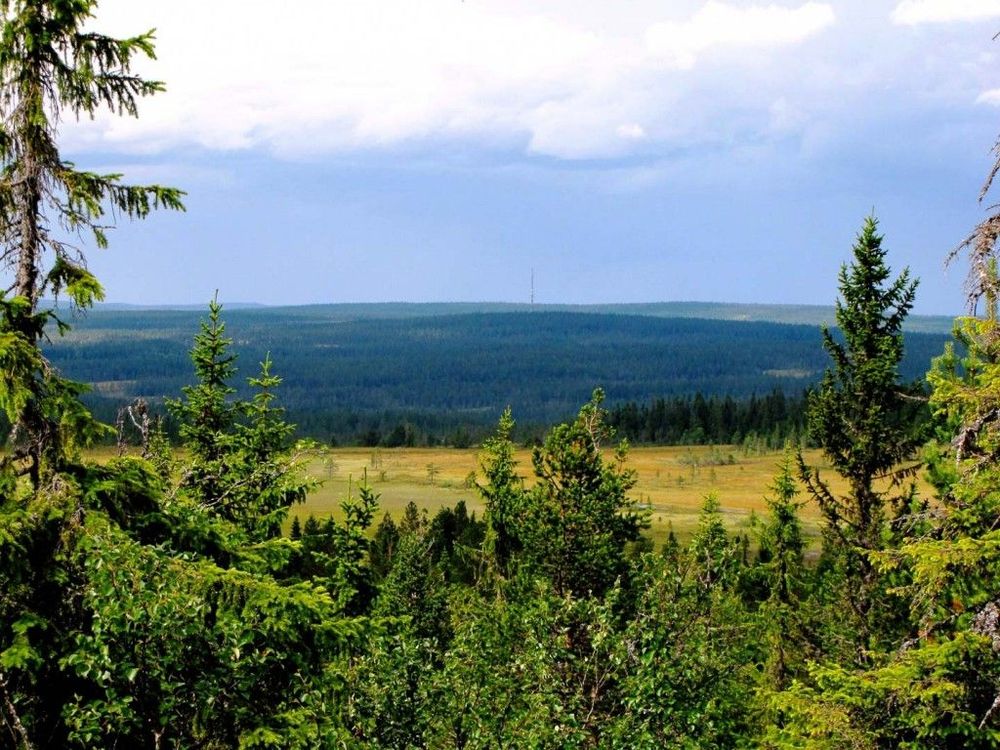 Norra Mora vildmark.