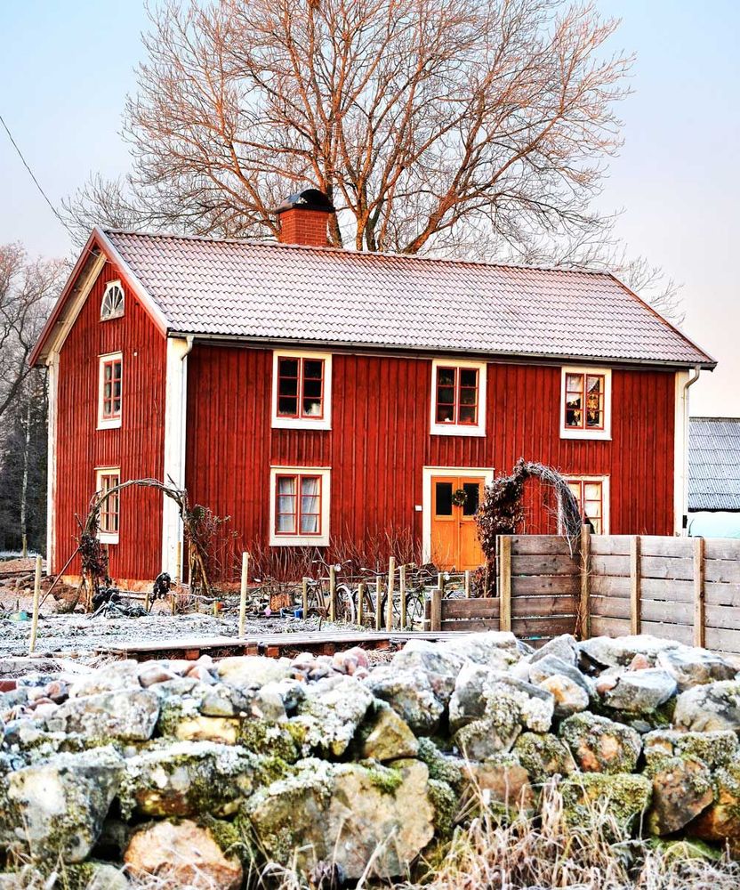 Skillnadens trädgård i vintervila, samtidigt som förberedelserna för årets odling tagit fart inomhus och i tunnelväxthus.