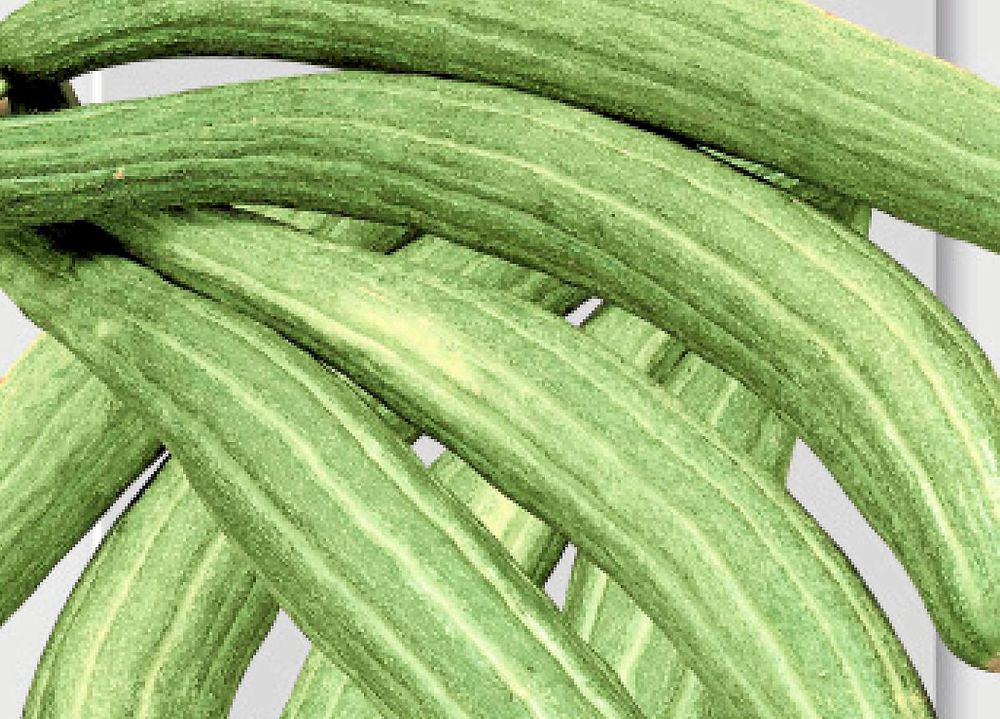 Testa en melongurka. Perfekt i somriga sallader.