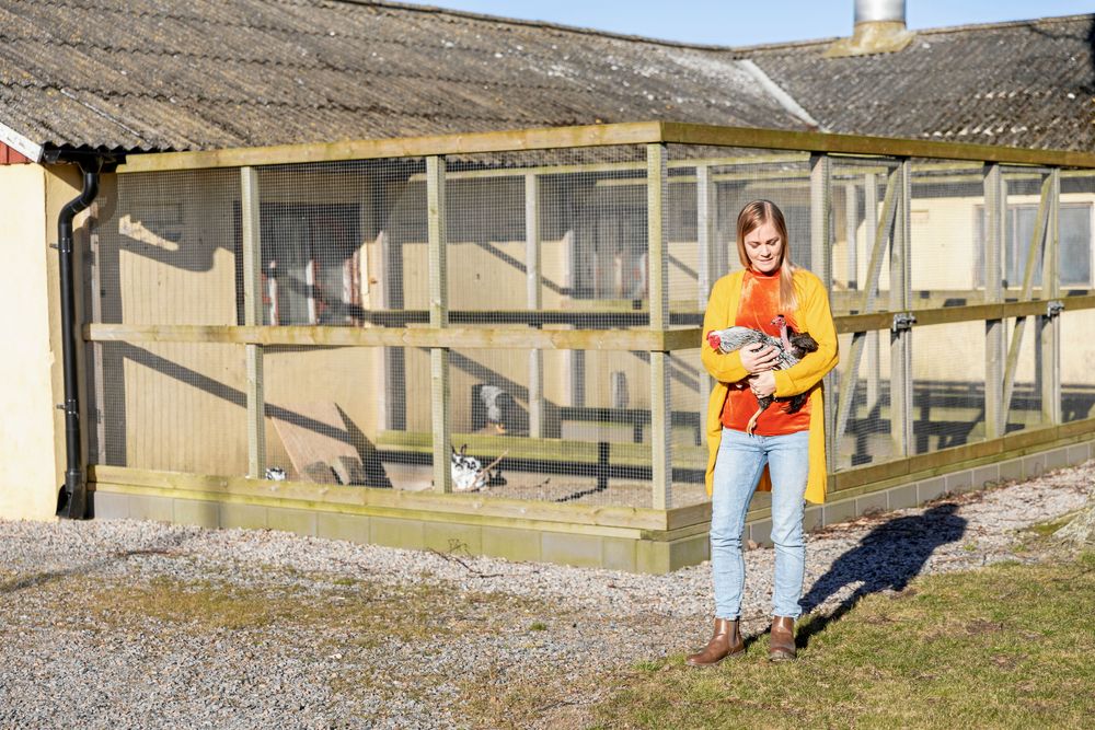 Trots att pandemin och fågelinfluensor har hindrat utställningar i flera år har Saras intresse hållit i sig.