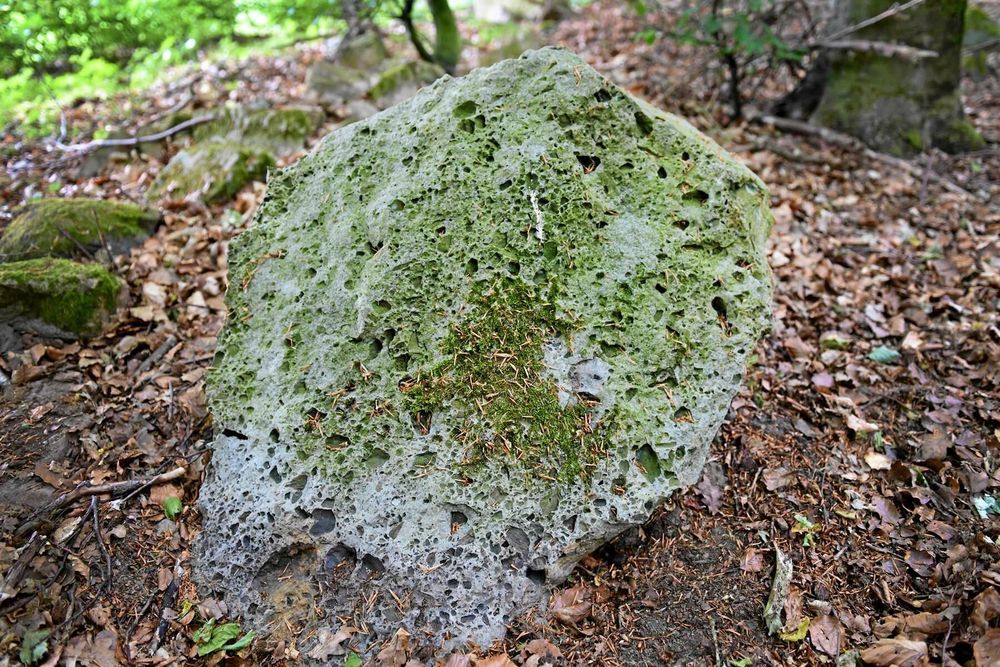 Den stelnade lavan är lätt att känna igen med sin annorlunda struktur.