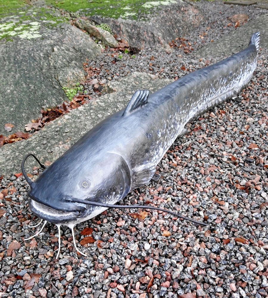 En mal i blankmålat trä, som i verkligheten kan bli stor, rekordet är fem meters längd.